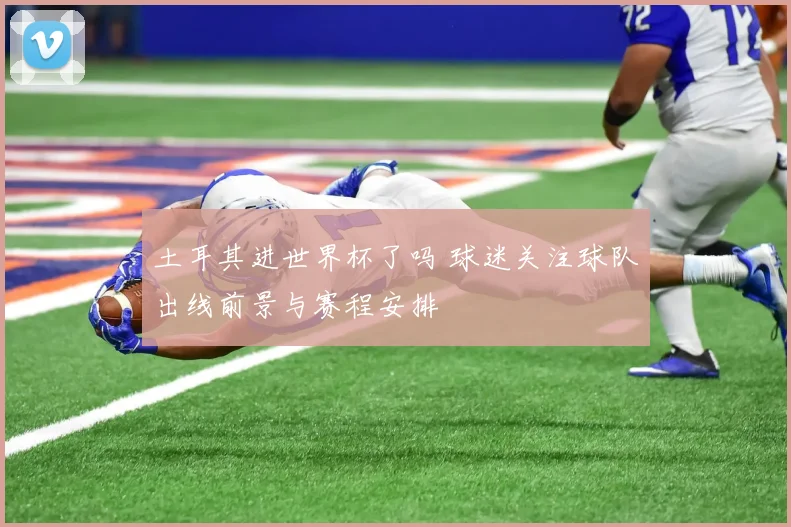 土耳其进世界杯了吗 球迷关注球队出线前景与赛程安排